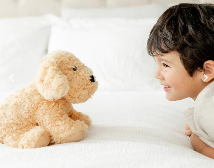 Golden Dog Plush Warmies