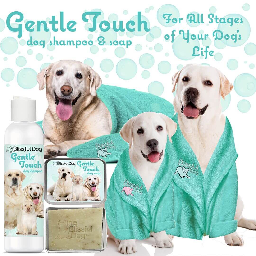 Gentle Touch Dog Shampoo and Soap for all stages of your dog's life with labrador dogs and grooming products.
