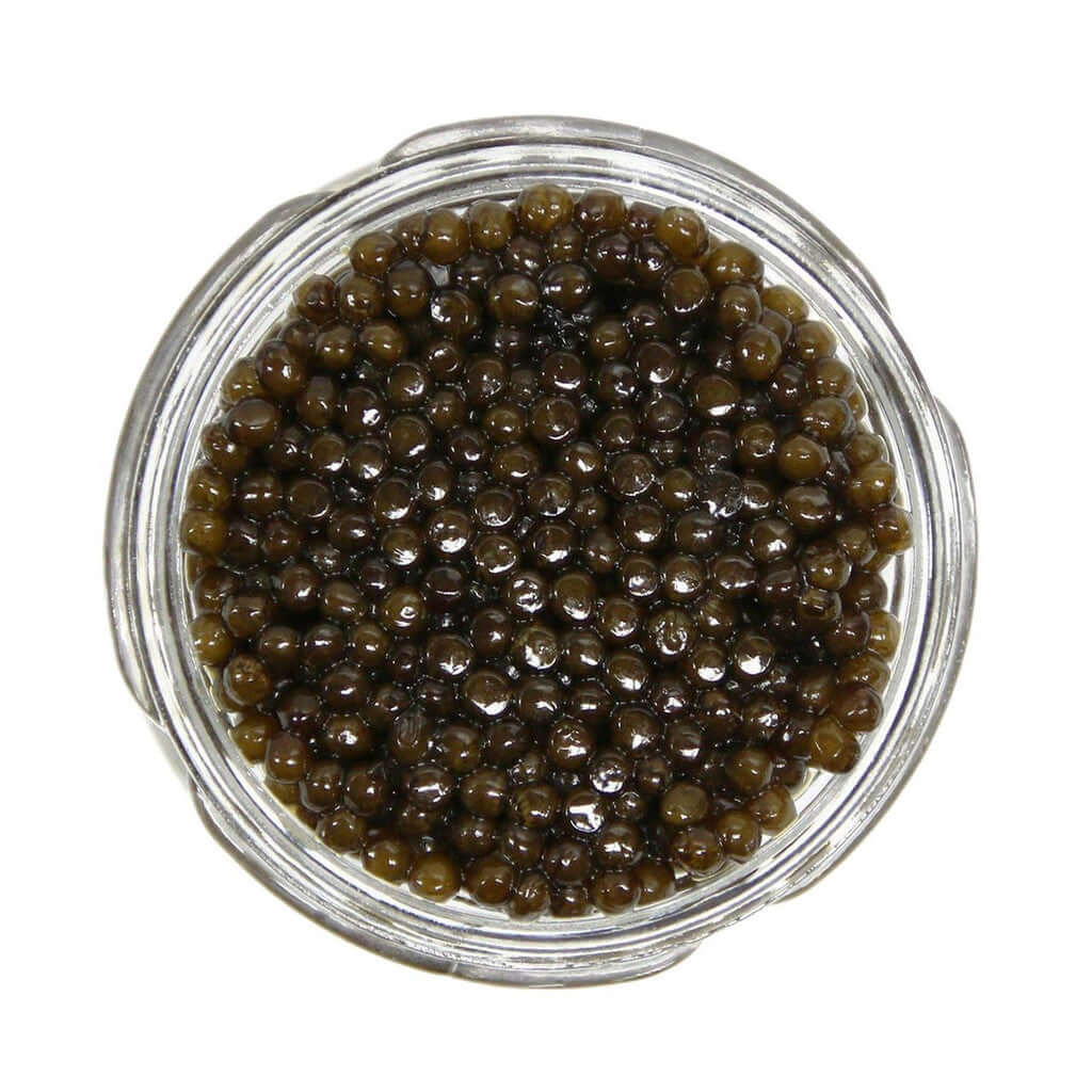 Kaluga hybrid caviar in a glass jar showcasing its rich brown hue and large pearls.