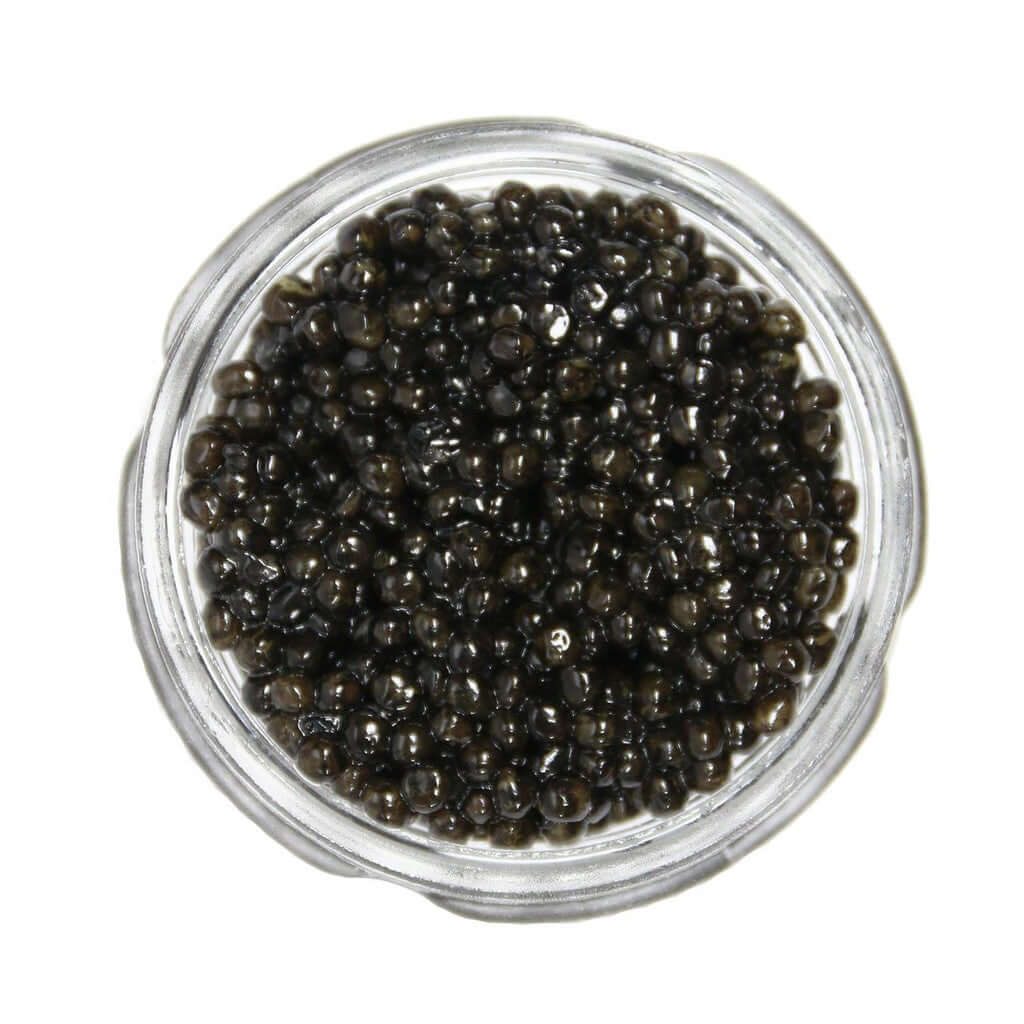 Italian White Sturgeon Caviar in a glass jar showcasing its rich, large pearls and luxurious quality.