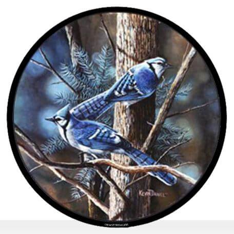 Stained glass window art roundel featuring two blue jays perched on a branch with pine needles in the background, designed by Kevin Daniel.