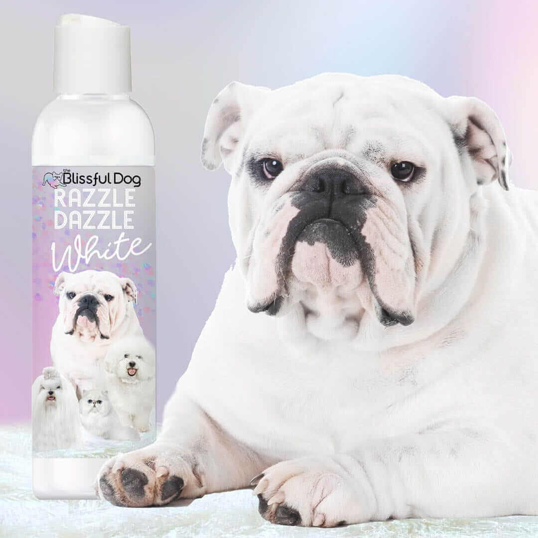 Premium Pet Wellness: Choosing Quality Toys, Treats & Care Products