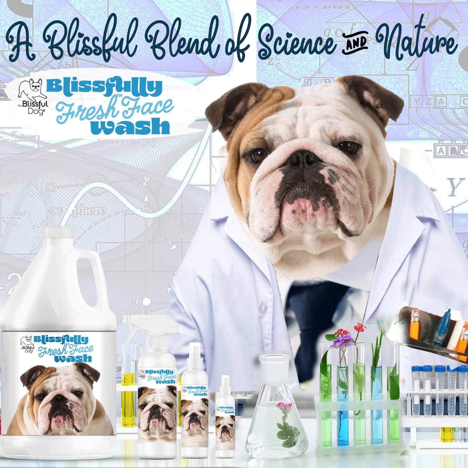 Bulldog Blissfully Fresh Face Wash promotes a fresh face with a blend of science and nature in a vibrant image.