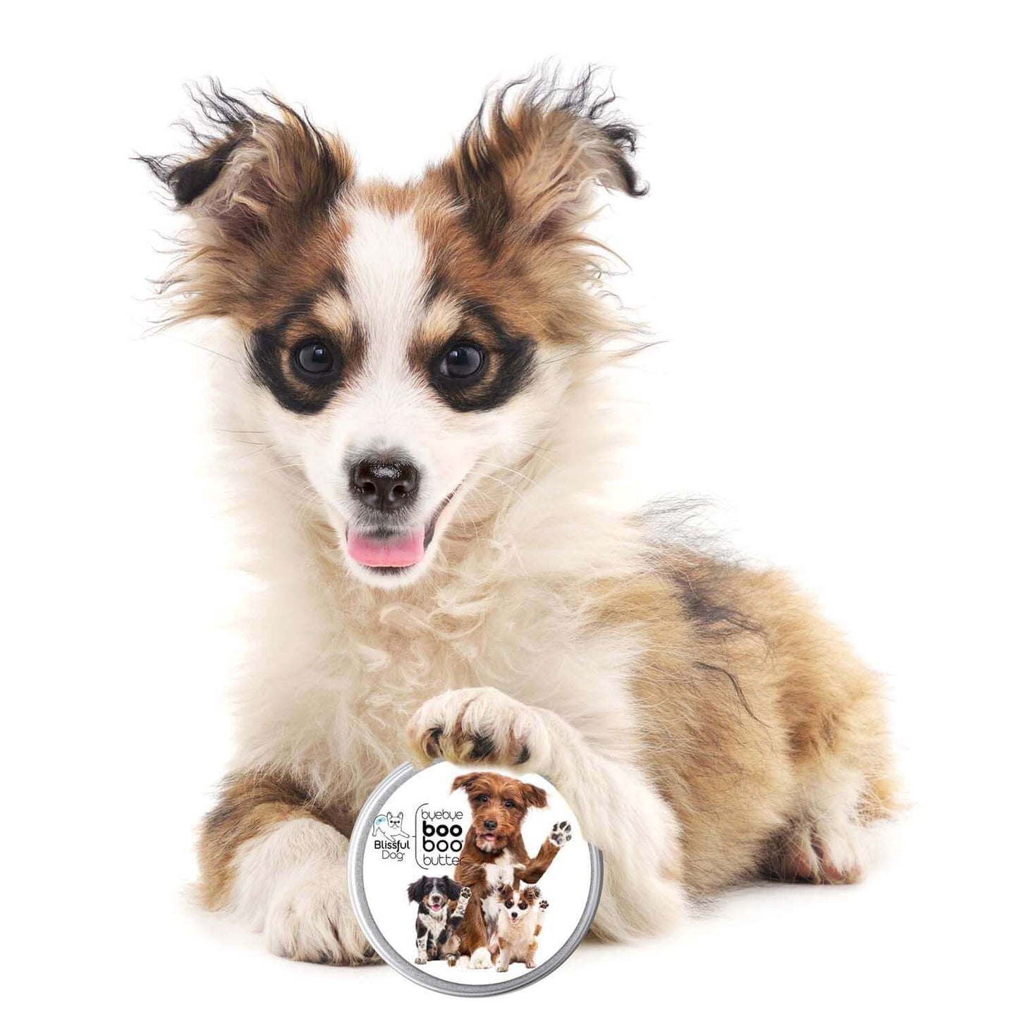 3 Cute Puppies Boo Boo Butter with a playful puppy relaxing next to the jar.