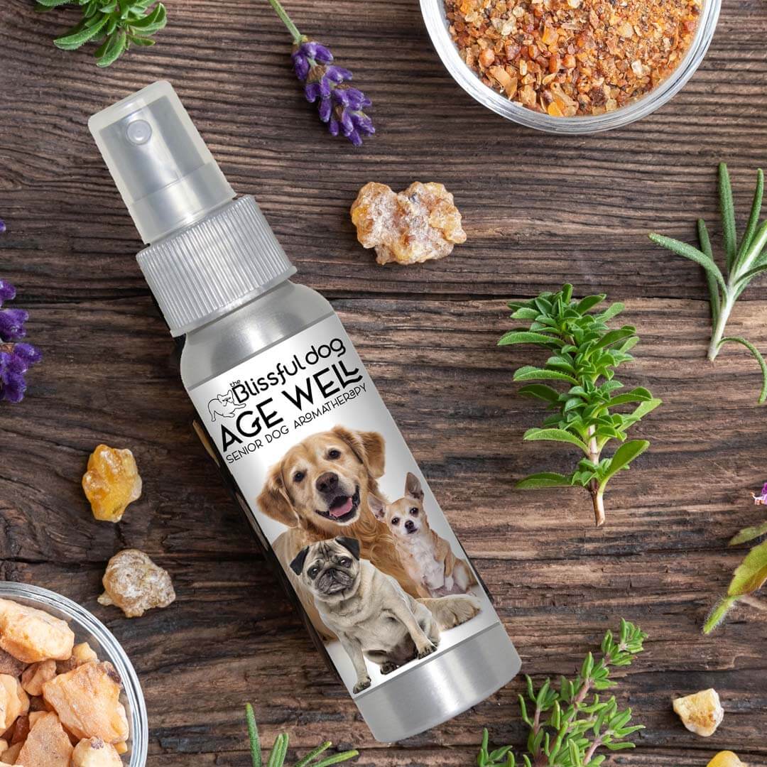 Dog aromatherapy for senior dogs product bottle with herbs and crystals on wooden background.