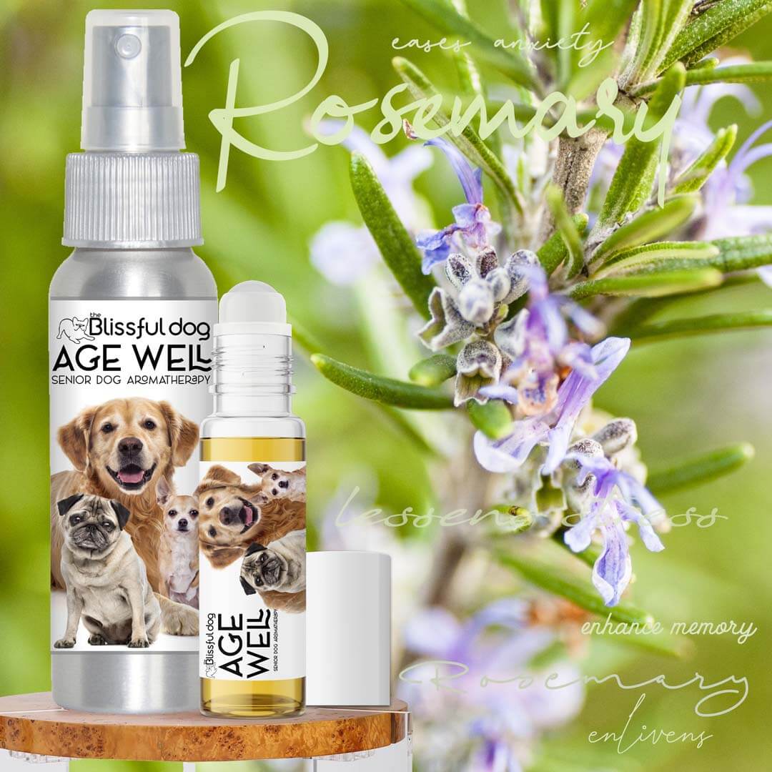Dog aromatherapy for senior dogs products with rosemary, promoting relaxation and mental support for aging pets.