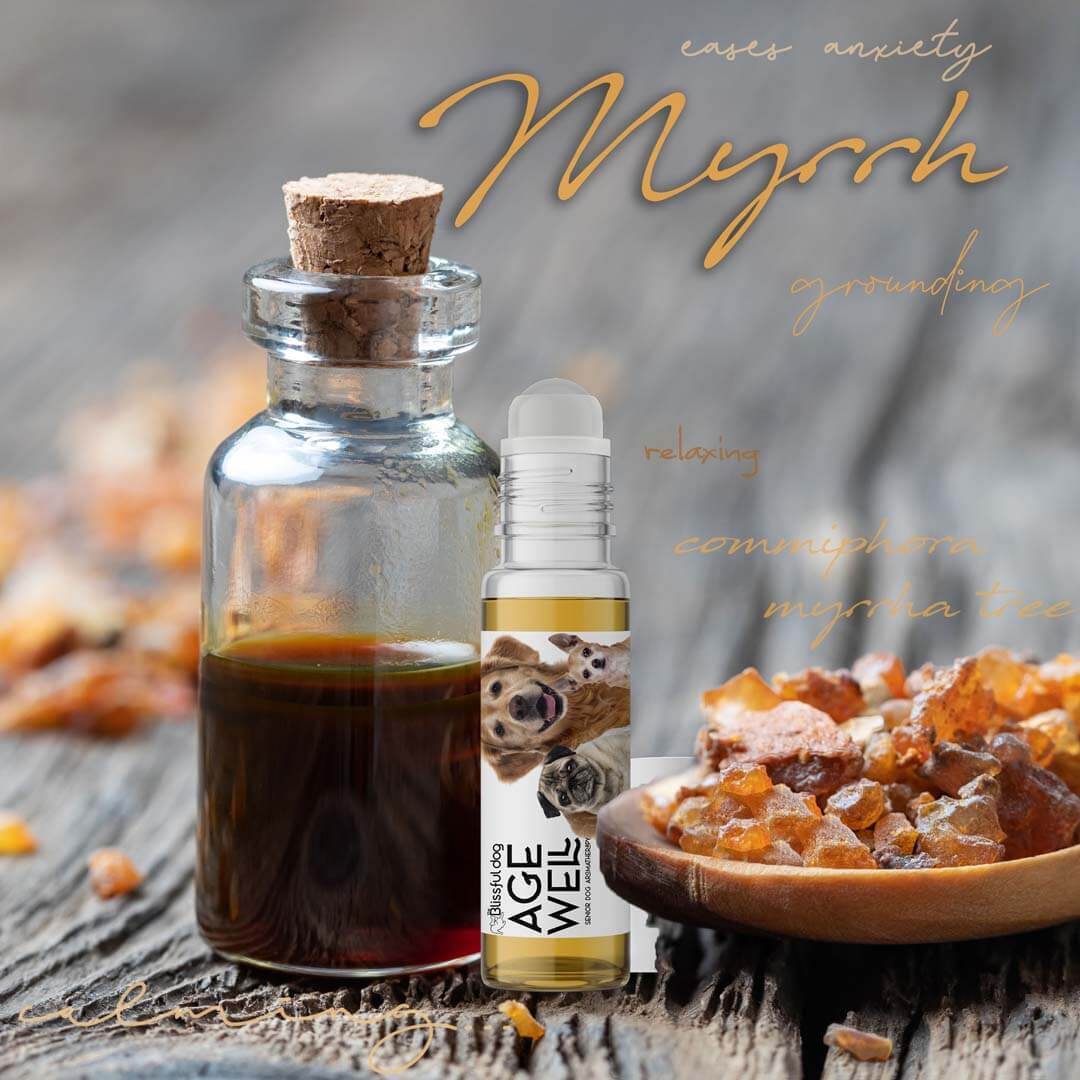 Dog aromatherapy for senior dogs - Myrrh oil for relaxation and anxiety relief in aging pets.