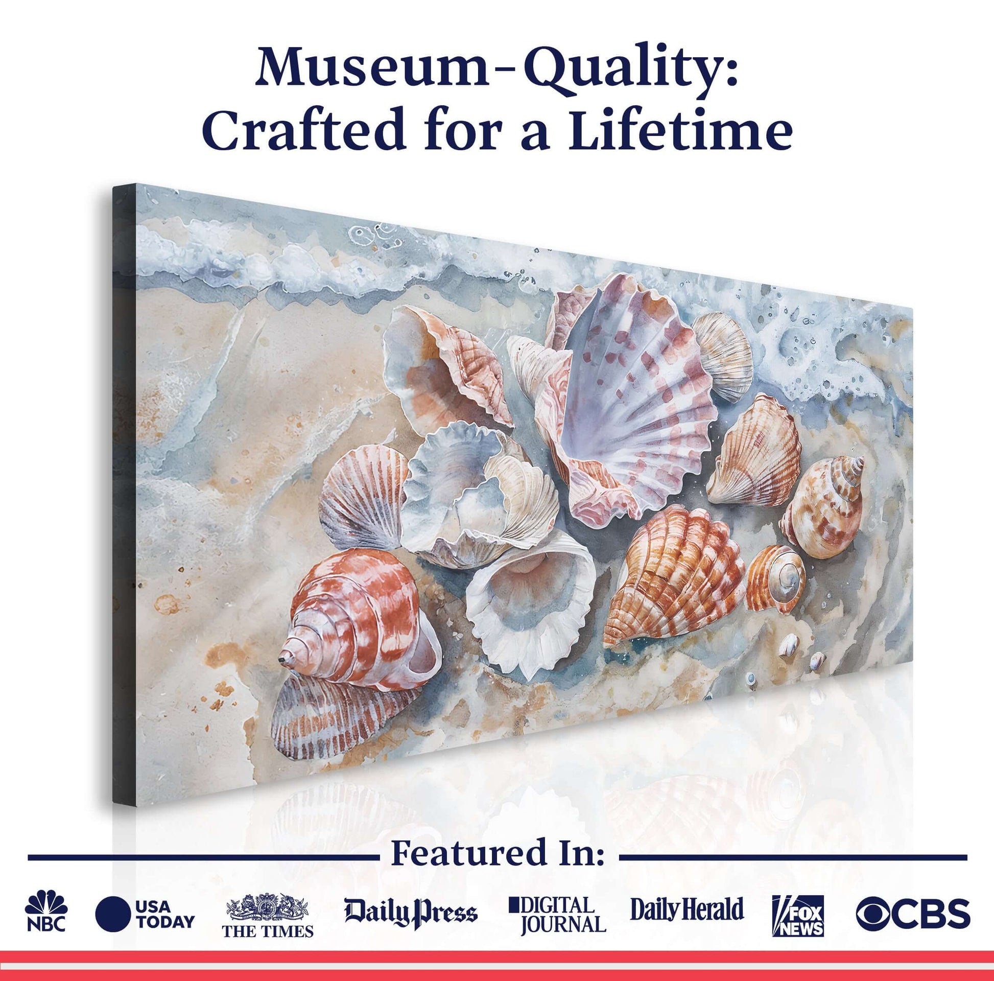 Sea Shells Modern Coastal Wall Art features beautiful, museum-quality shells on canvas, crafted for a lifetime of enjoyment.