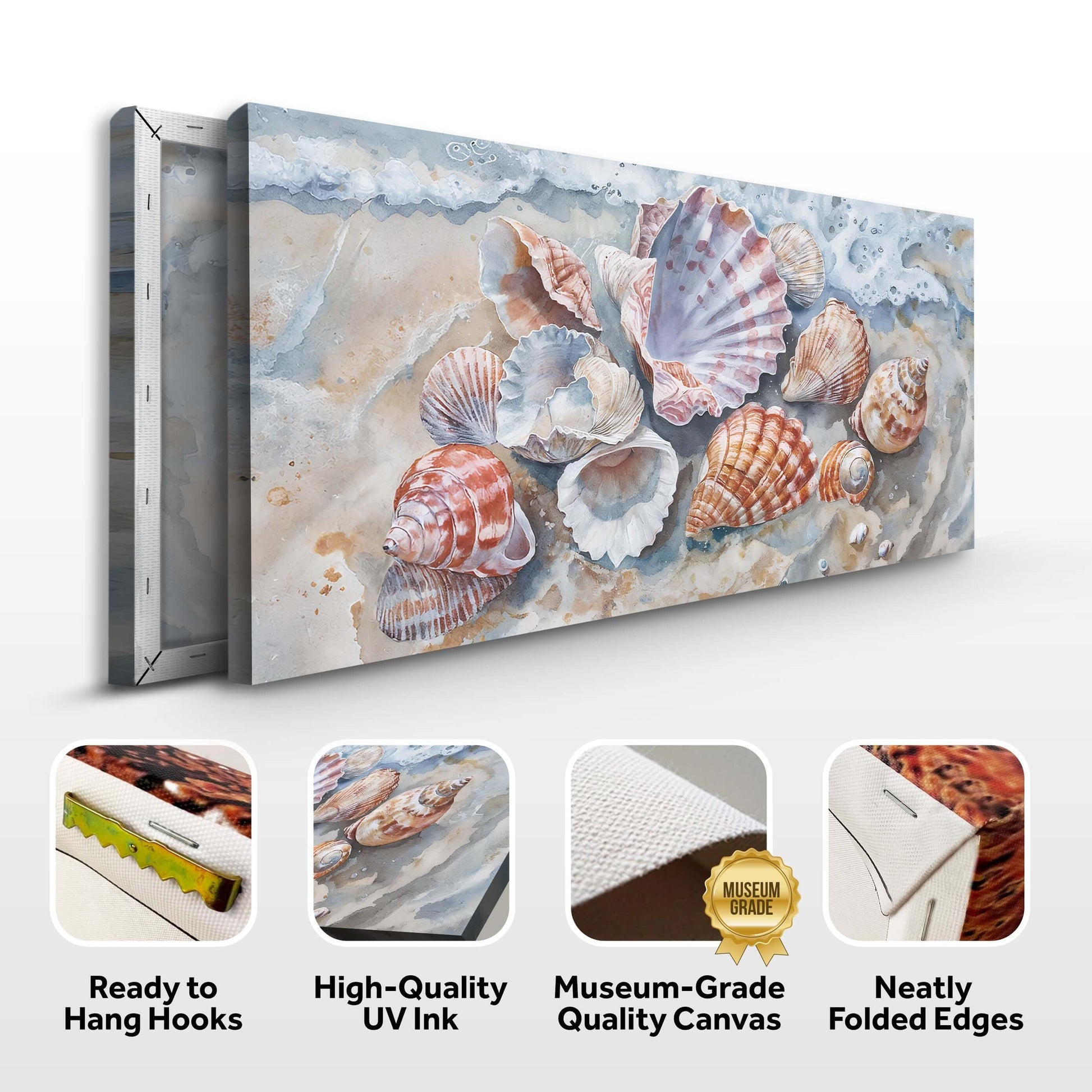 Sea Shells Modern Coastal Wall Art featuring various sea shells on high-quality canvas, ready to hang, with museum-grade quality.