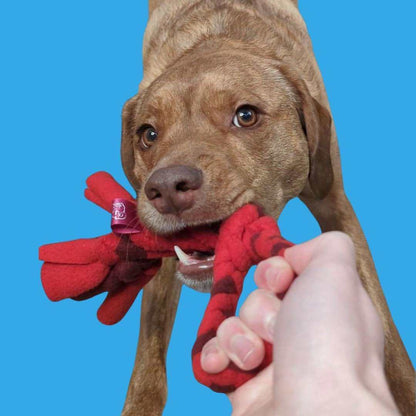 3-in-1 Bundle Enrichment Tube for Dogs - Tug Toy, Treat Dispenser & Snuffle Ball