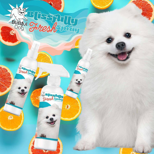 Blissfully Fresh Deodorizing Spray bottles with a happy white dog, perfect for home, pets, and auto refreshing.