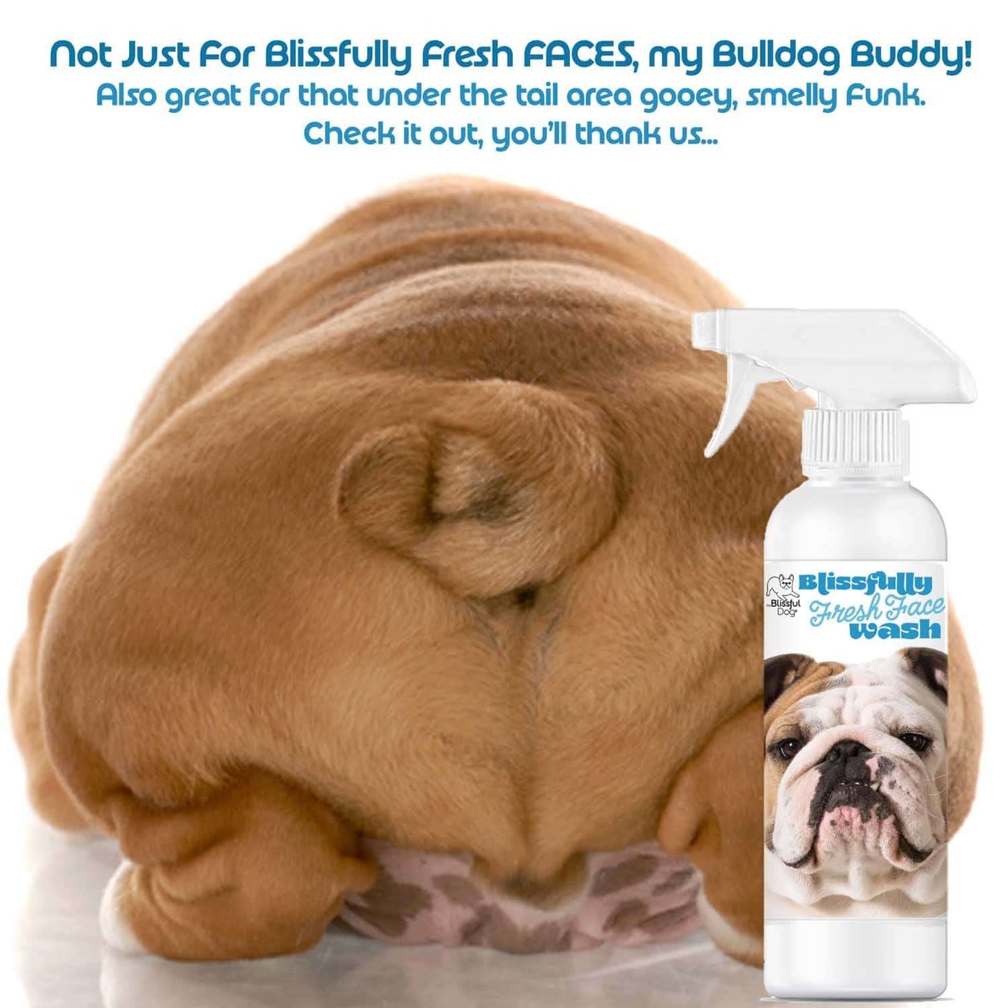Bulldog Blissfully Fresh Face Wash for fresh faces and cleaning smelly areas on Bulldogs.