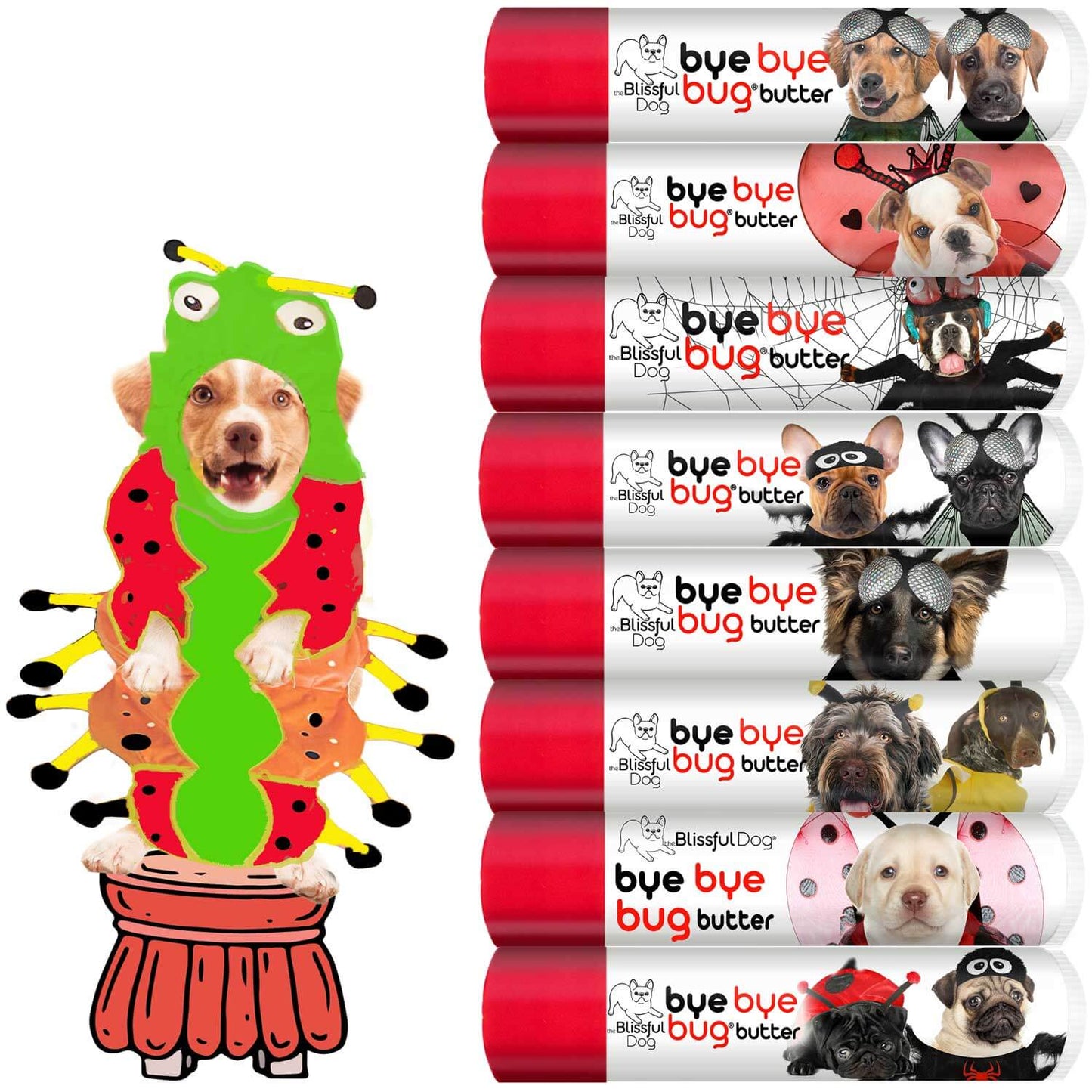 Bye Bye Bug Butter products displayed with a playful dog in a bug costume, ideal for repelling biting bugs.