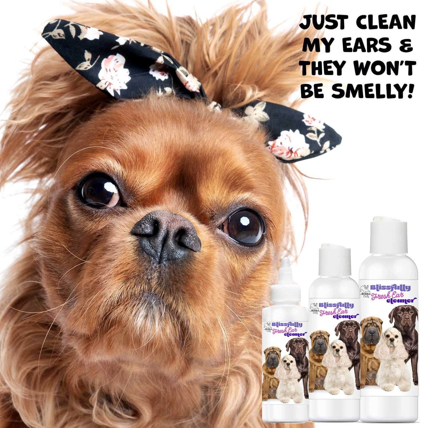 Cute dog with floral bow and dog ear cleaner bottles, promoting Blissfully Fresh Dog Ear Cleaner for clean, fresh ears.