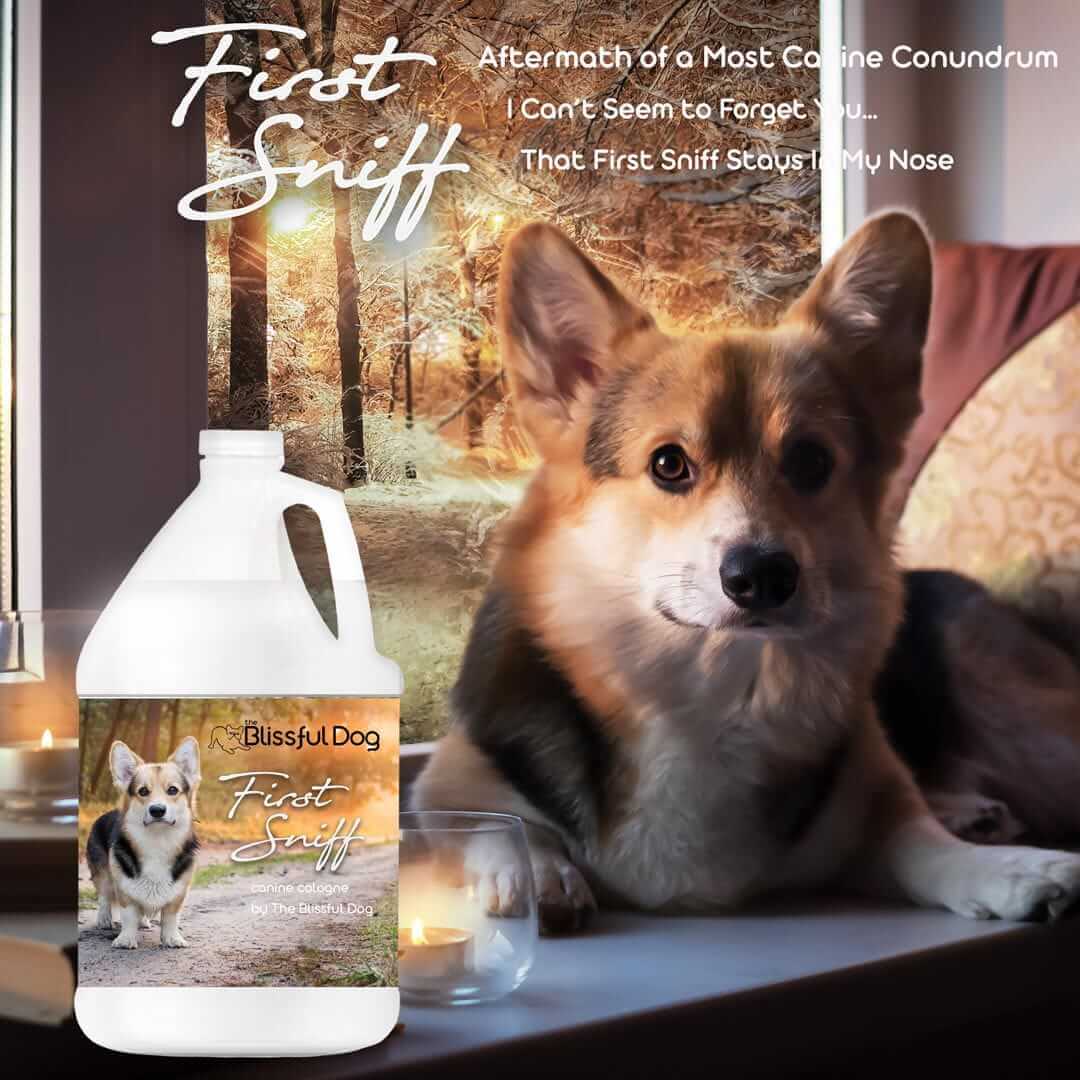 First Sniff Dog Cologne showcasing a happy Corgi beside a bottle celebrating canine loyalty and love.