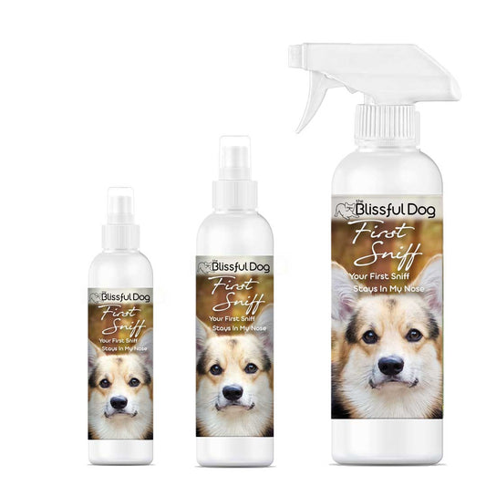 First Sniff Dog Cologne blends for dogs with playful Corgi designs in three different spray bottle sizes.