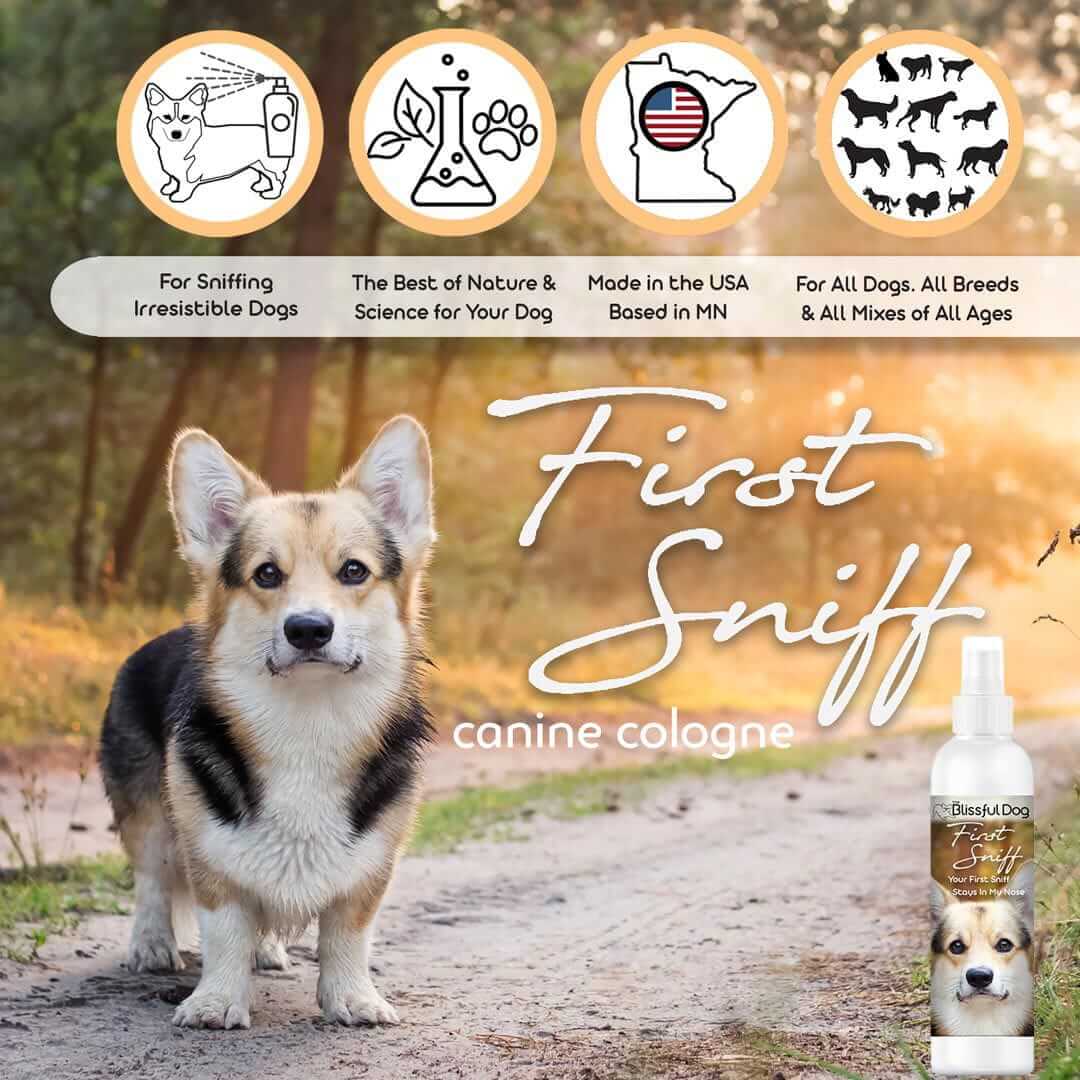 First Sniff Dog Cologne bottle with a playful corgi on a pathway, celebrating dog loyalty and love.