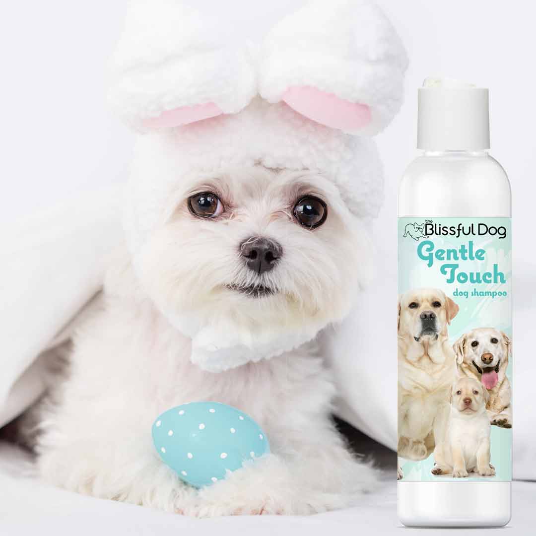 Gentle Touch Dog Shampoo and Soap for Sensitive Skin with a cute puppy in bunny ears.
