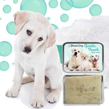 Gentle Touch Dog Shampoo and Soap for Sensitive Skin with a cute puppy and soap bar on a bubbly background.