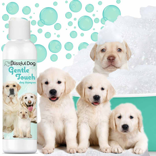 Gentle Touch Dog Shampoo and Soap for sensitive skin with various sizes and puppies