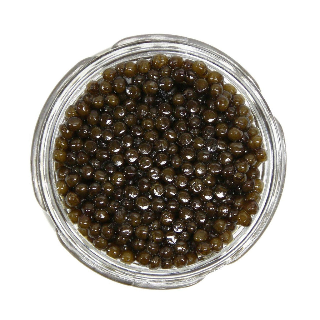 Premier Kaluga Caviar - Sturgeon native to the northern Caspian Sea