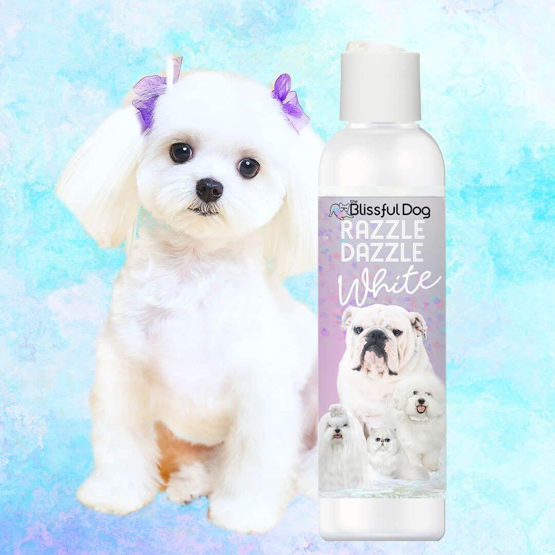 Razzle Dazzle White Pet Shampoo bottle next to a fluffy white dog with cute accessories.