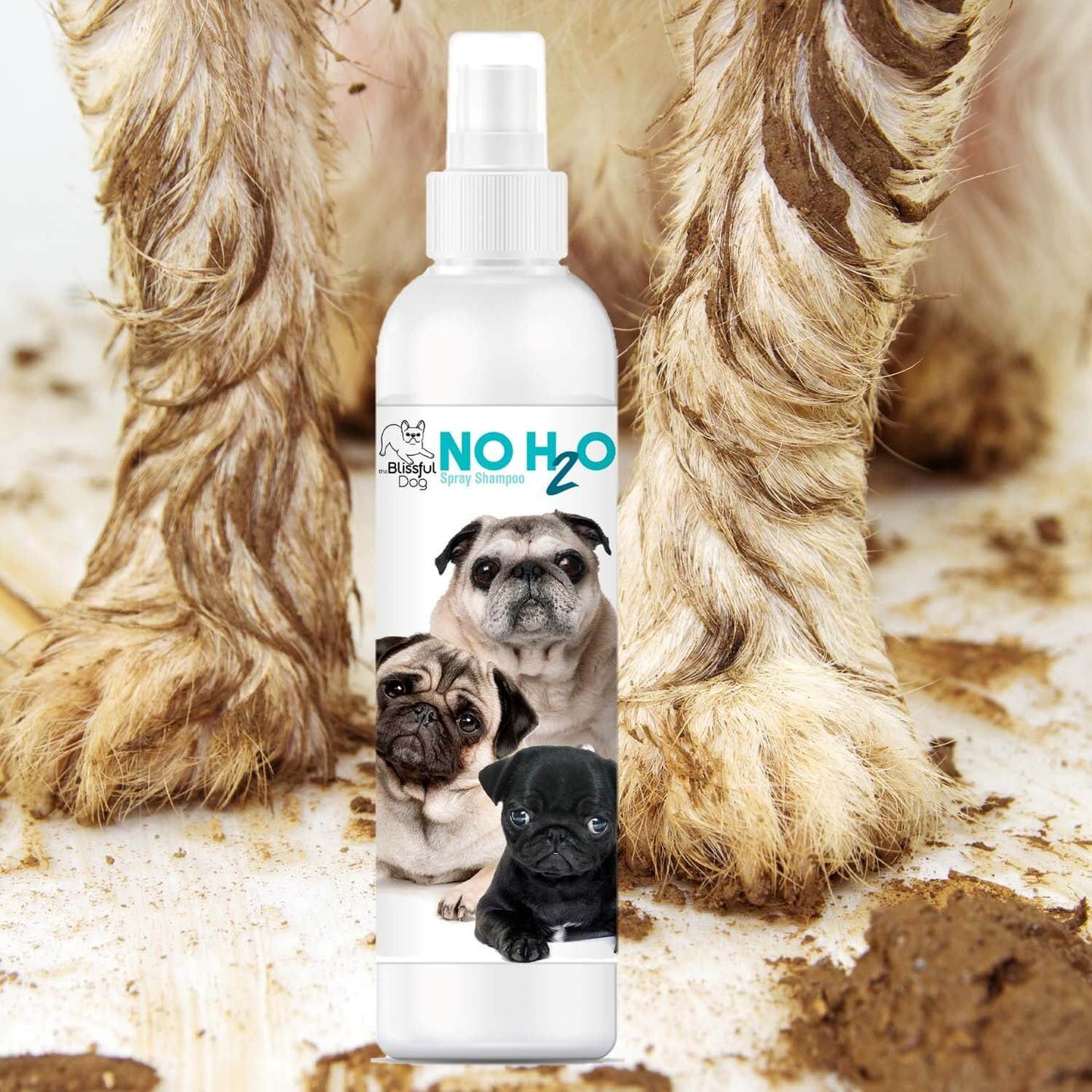 NO H2O pet shampoo bottle with pug images, designed for quick cleaning without water.
