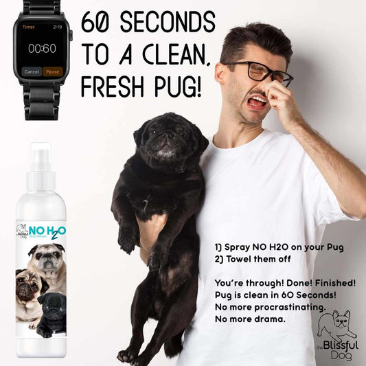 No water pet shampoo products featuring different sizes and pug dogs, perfect for quick pet cleaning.