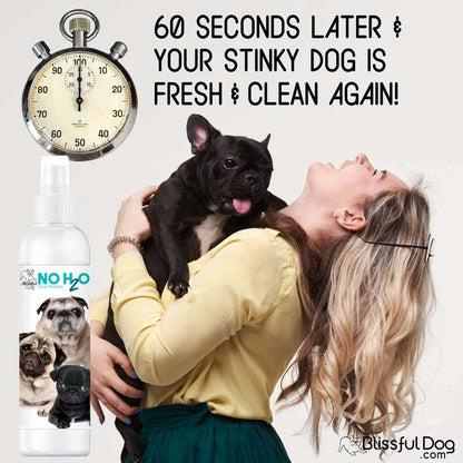 Woman happily cleaning her dog with no water pet shampoo in 60 seconds, illustrated by a stopwatch and playful dogs.