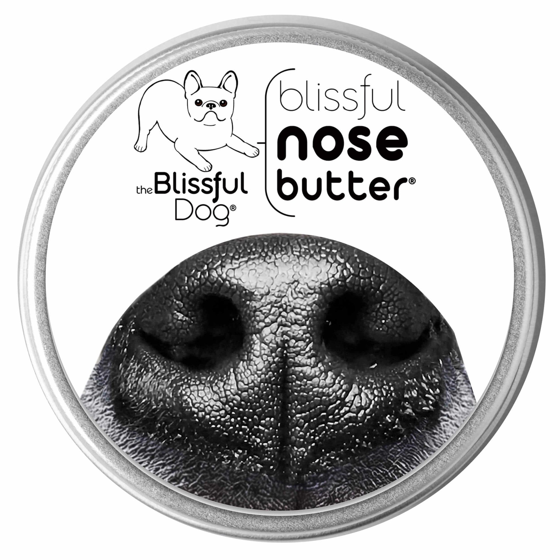1 Dog Nose Butter For All Dogs - container of nose butter for moisturizing dry dog noses