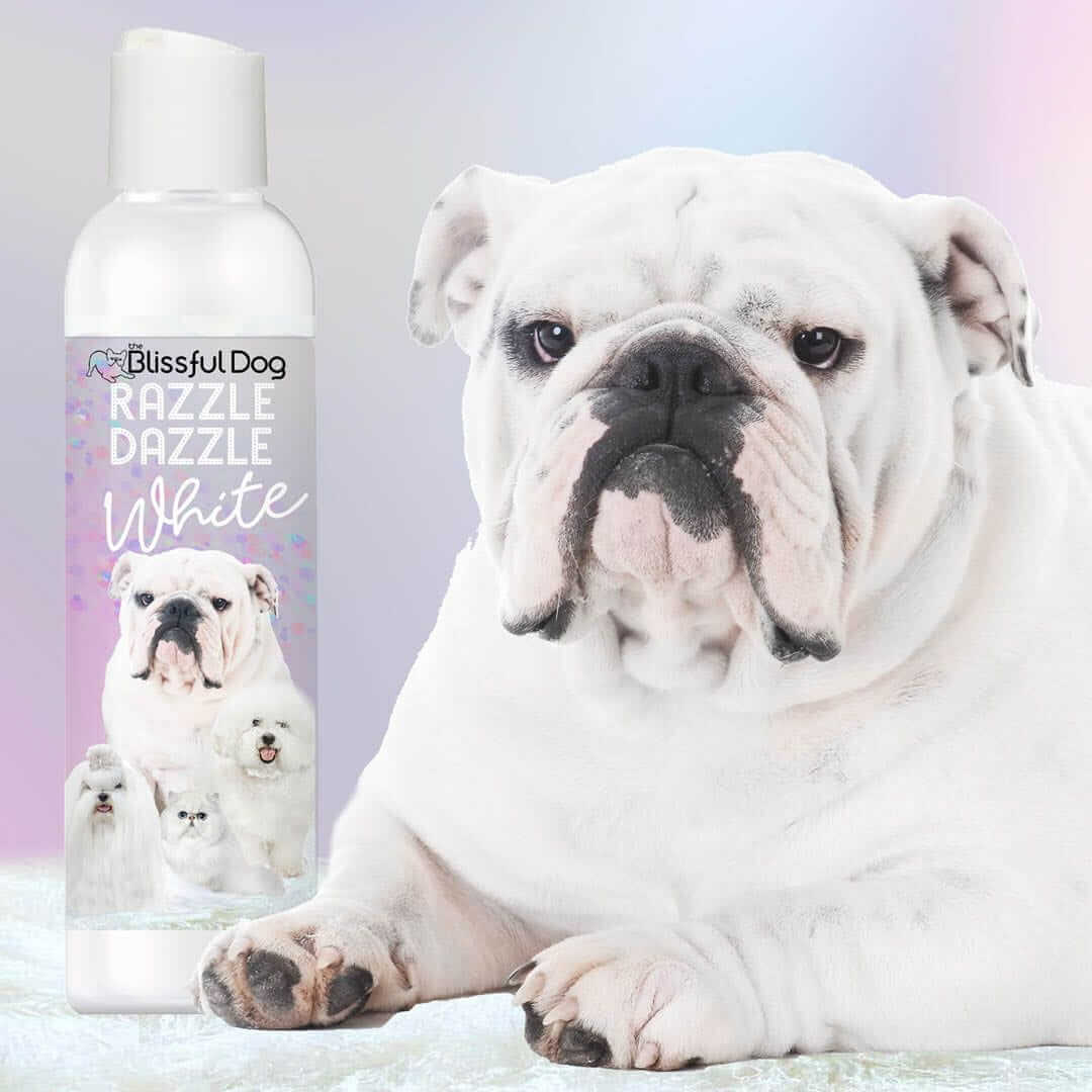 Razzle Dazzle White Pet Shampoo bottle next to a white bulldog, designed for cleansing and brightening pets' coats.