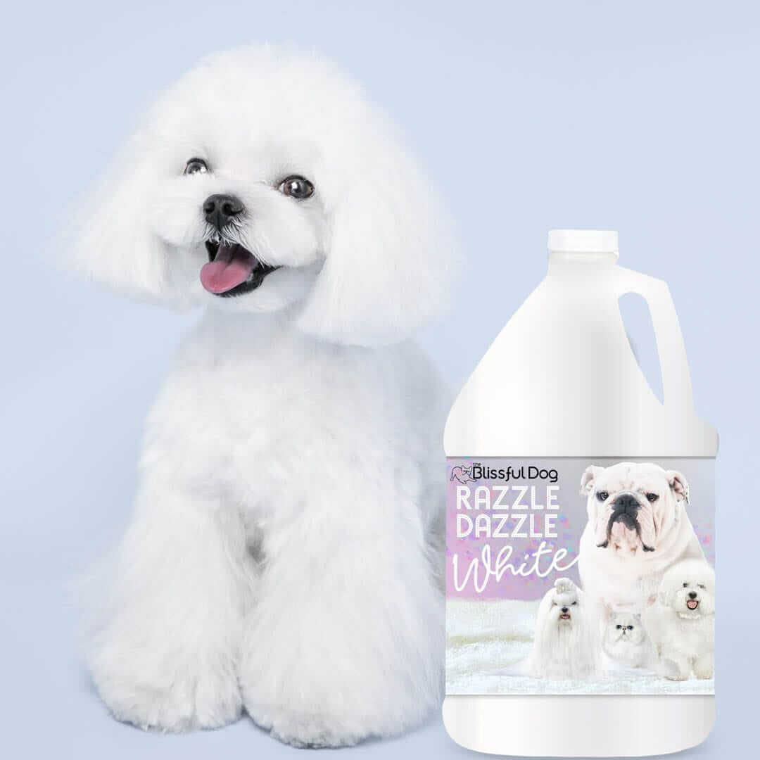 Razzle Dazzle White Pet Shampoo bottle next to happy white dog, showcasing cleansing and brightening features.