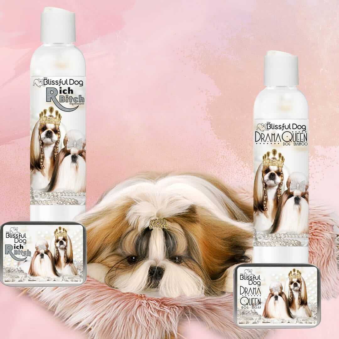 Shih Tzu Rich Bitch & Drama Queen Shampoo bottles with pampered Shih Tzu dog on fluffy background.