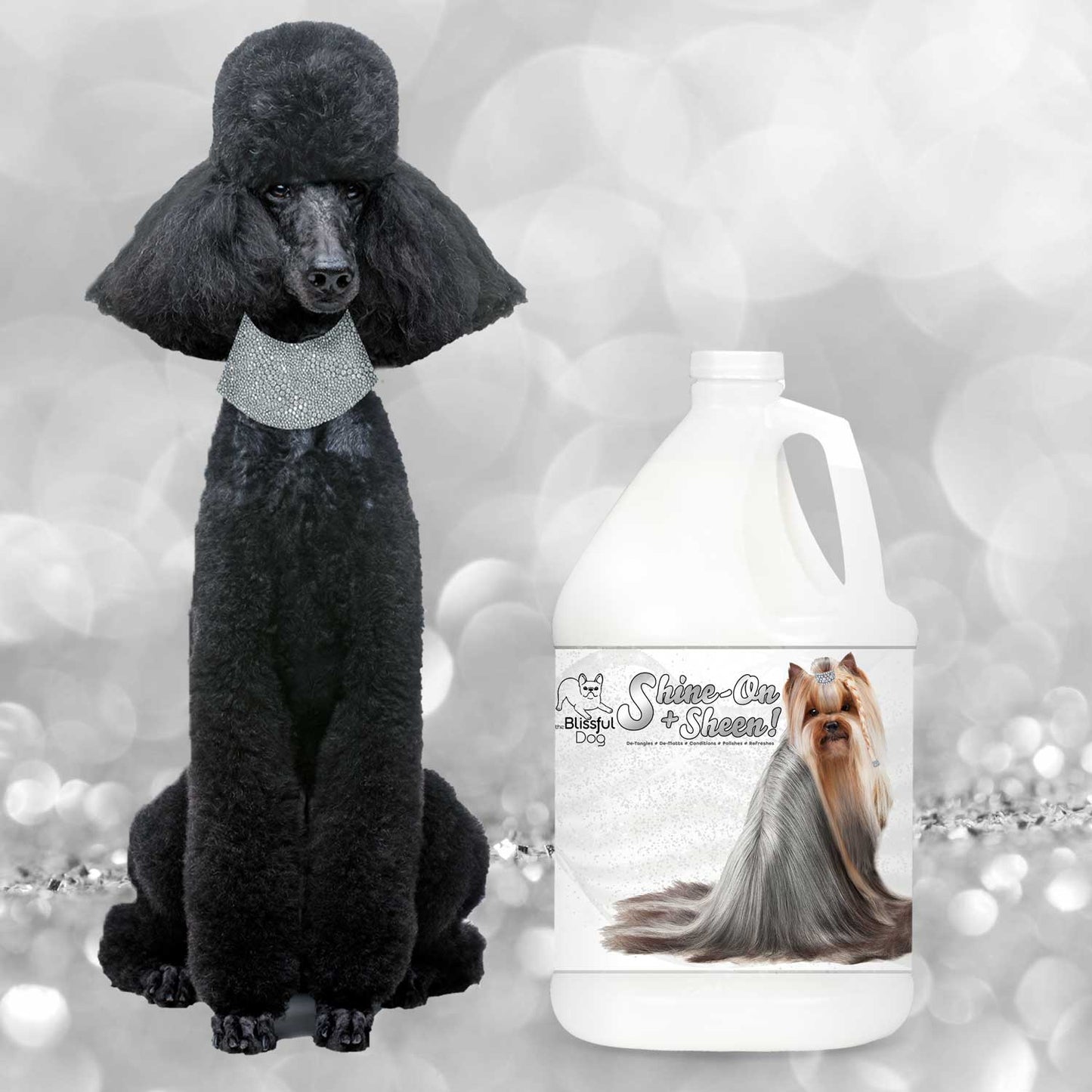 Shine-On Plus Sheen Dog De-Tangling Coat Spray with a stylish poodle in a sparkling background.