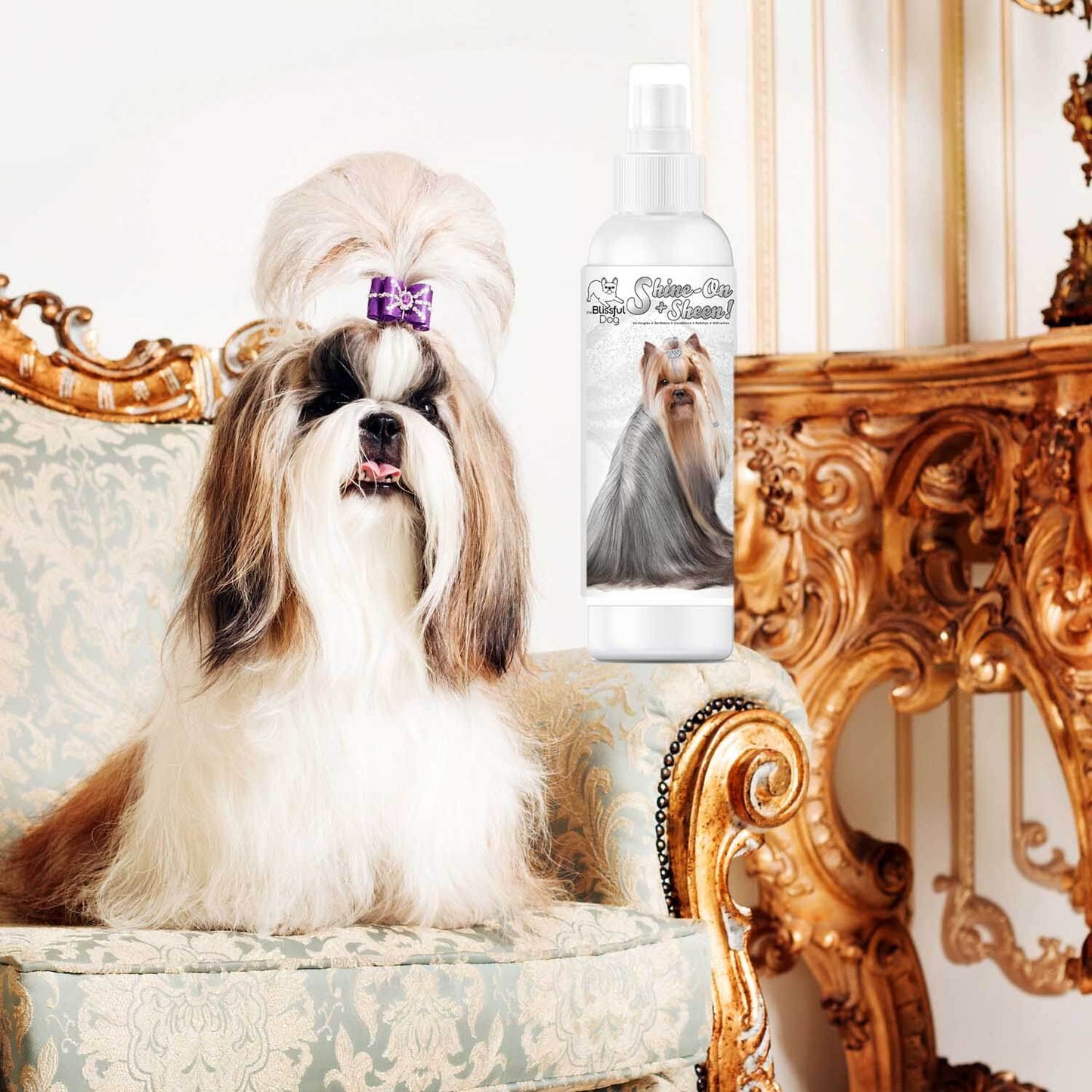 Shine-On Plus Sheen Dog De-Tangling Coat Spray next to a stylish dog sitting on an ornate chair.