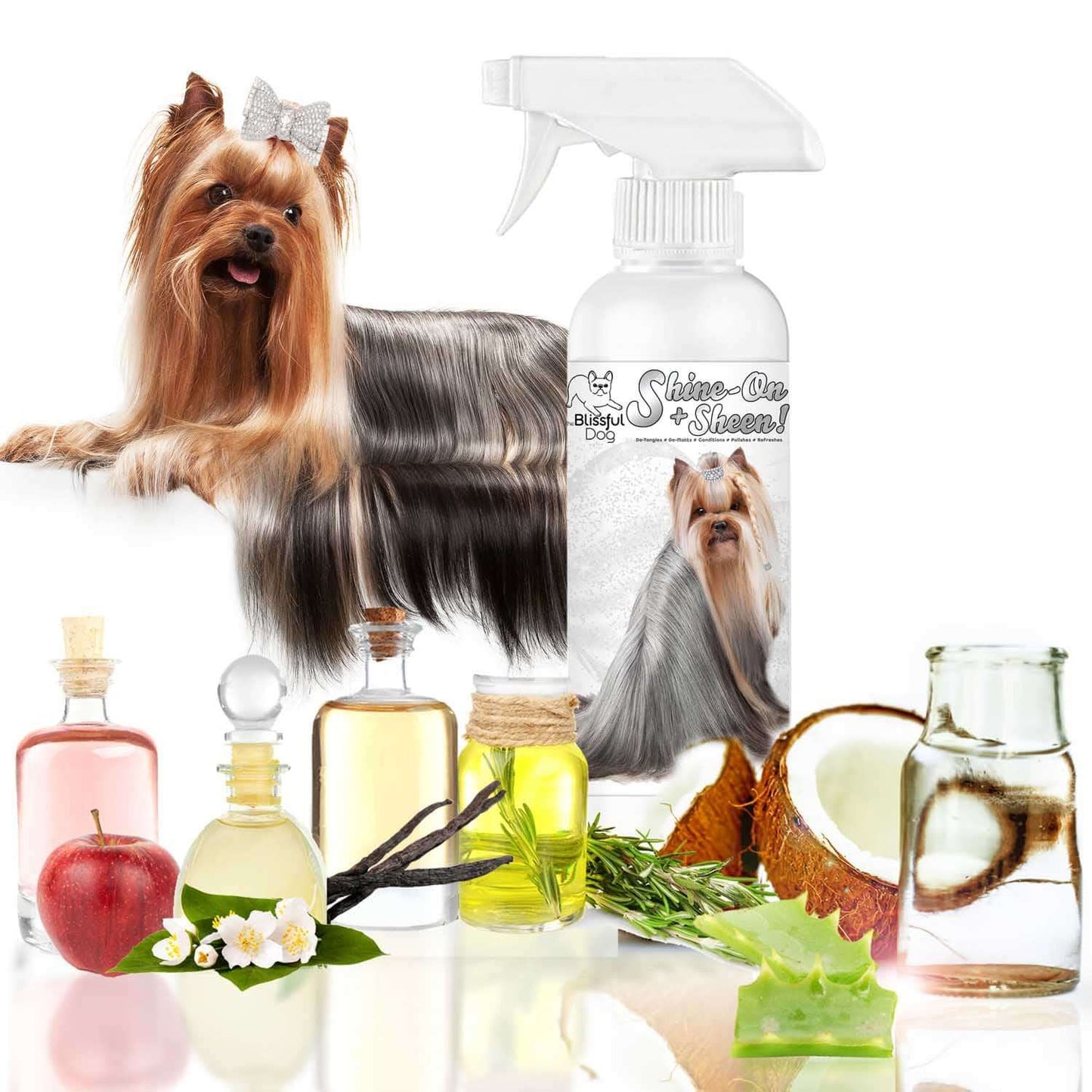 Shine-On Plus Sheen Dog De-Tangling Coat Spray with ingredients and a Yorkshire Terrier in the background