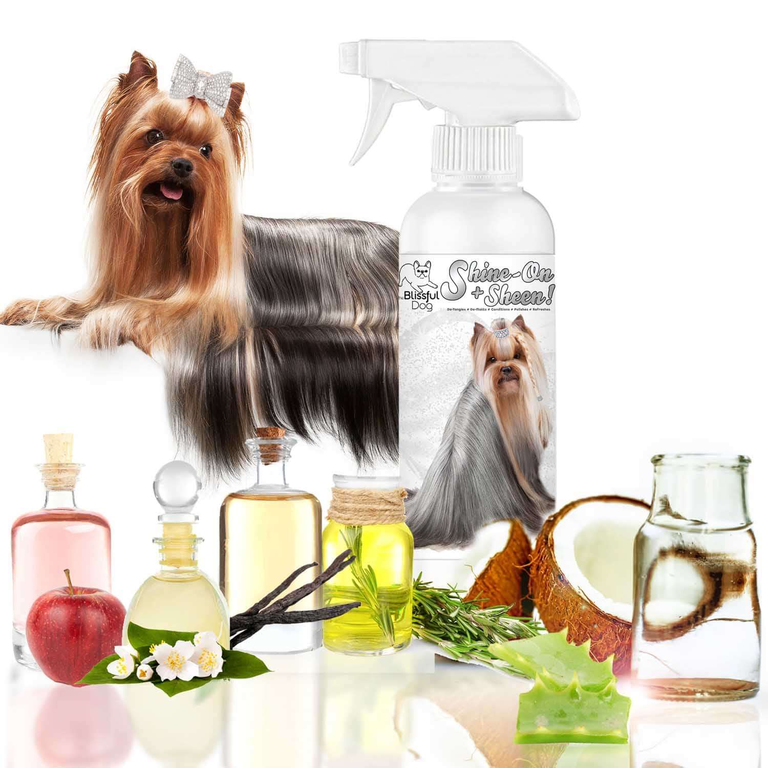 Shine-On Plus Sheen Dog De-Tangling Coat Spray with ingredients and a Yorkshire Terrier in the background