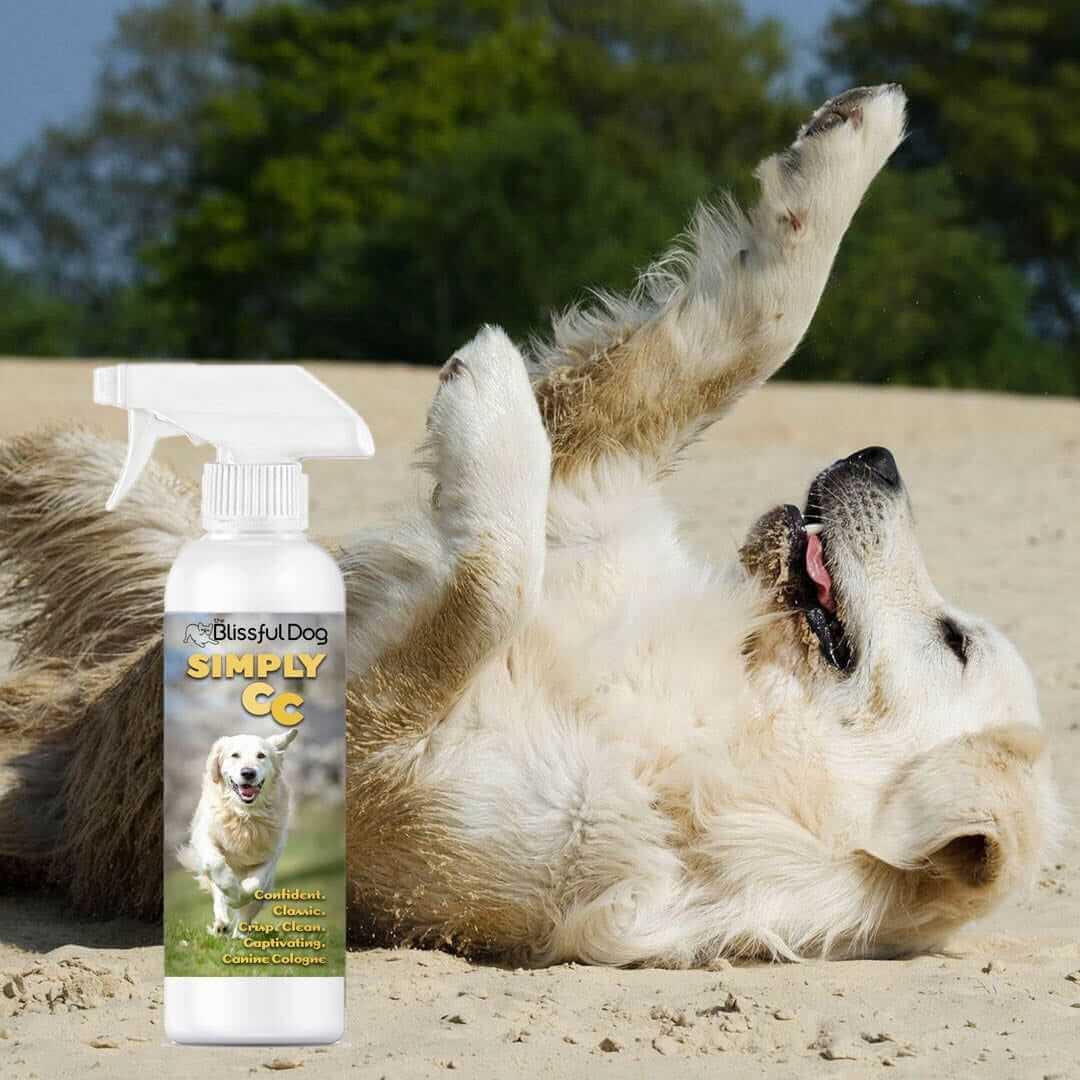 Simply Canine Cologne Dog Cologne beside a happy dog rolling in the sand, promoting freshness and confidence.