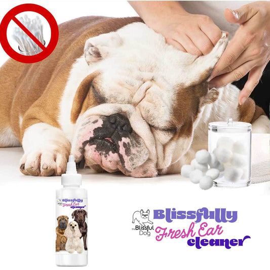 Blissfully Fresh Dog Ear Cleaner products displayed with a happy dog featuring various bottle sizes.