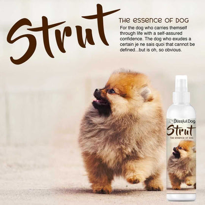 Strut Dog Cologne bottle with a pomeranian displaying confidence and charm.