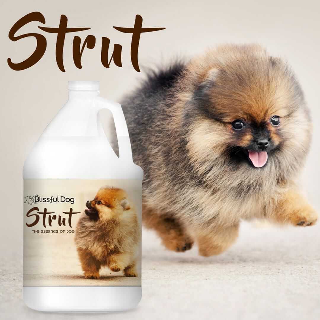 Strut Dog Cologne, a grooming perfume spray with a Pomeranian, designed for confident dogs.