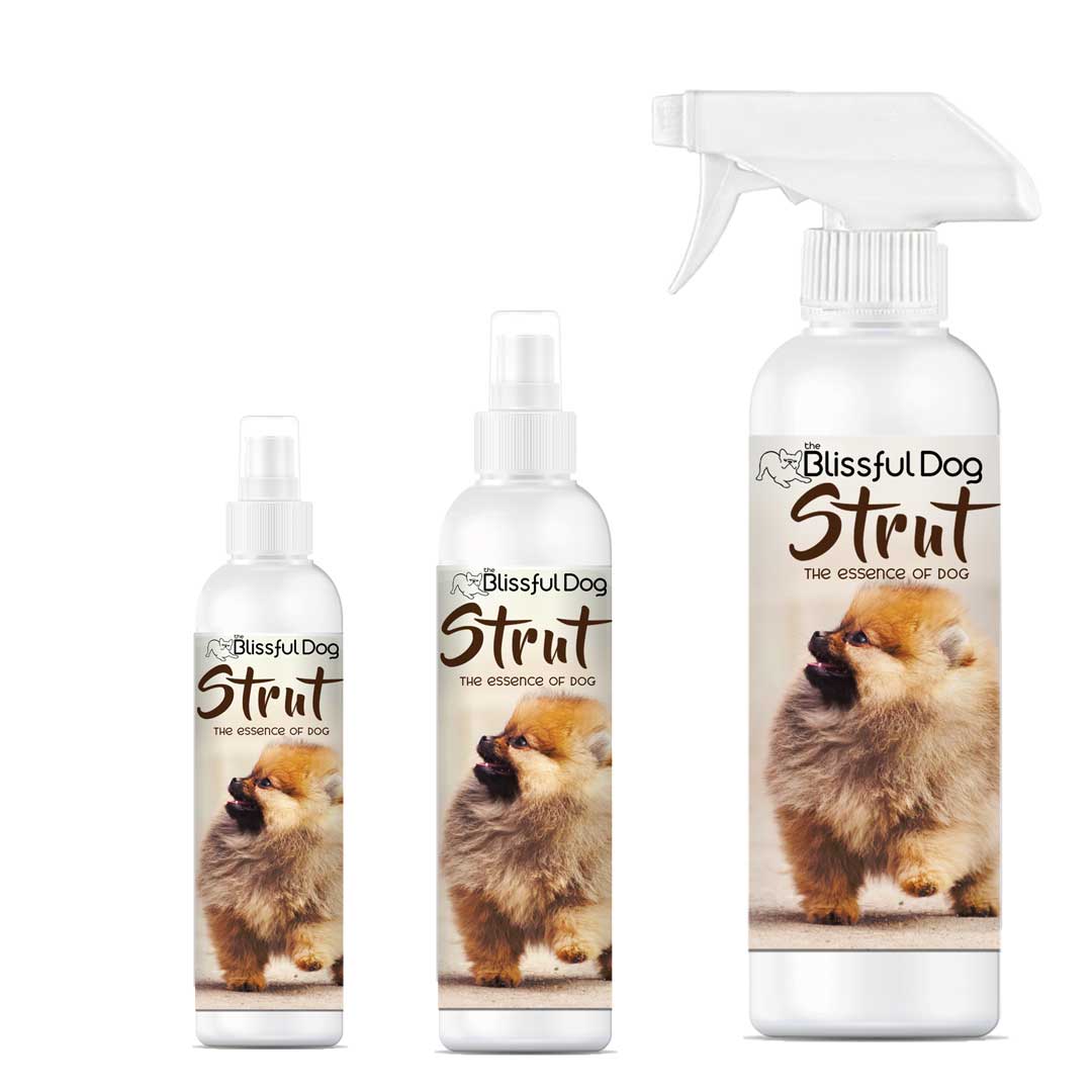 Strut Dog Cologne bottles showcasing the essence of dog grooming for confident pups