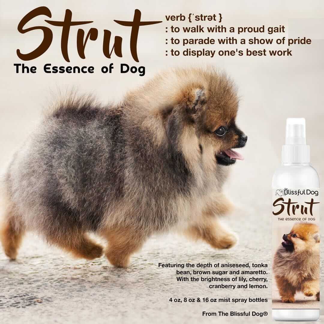 Strut Dog Cologne spray for proud dogs, featuring a Pomeranian and the essence of joy and confidence.