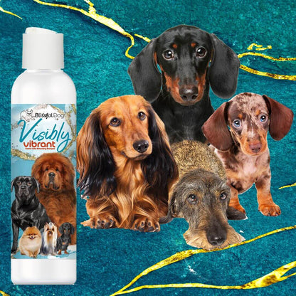 Visibly Vibrant Pet Shampoo bottle with various dogs showcasing vibrant coats and colors.