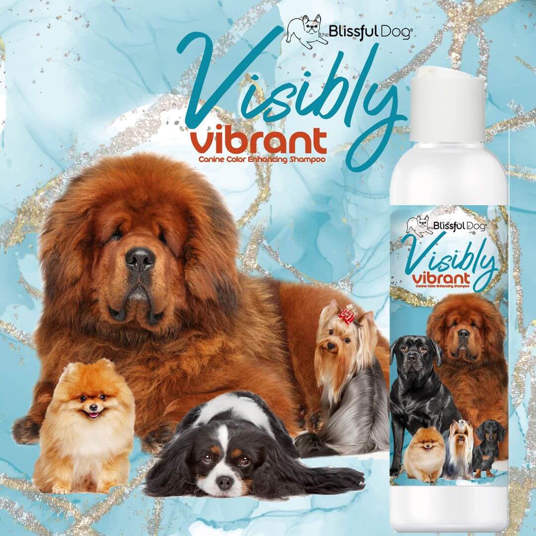 Visibly Vibrant Pet Shampoo with various happy dogs on a blue background, enhancing canine coat colors.