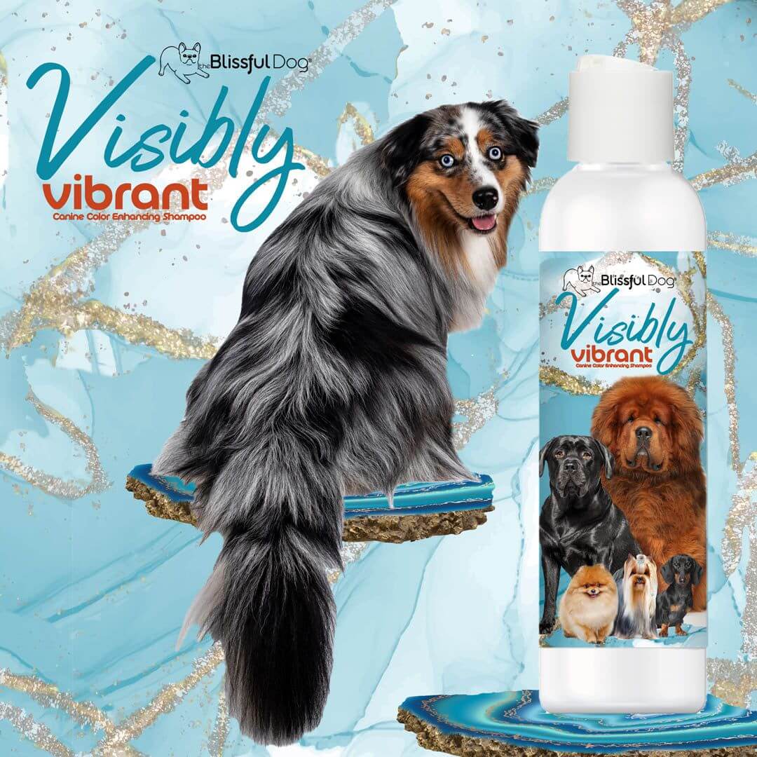 Visibly Vibrant Pet Shampoo bottle with colorful dogs and artistic background, ideal for enhancing canine coat colors.
