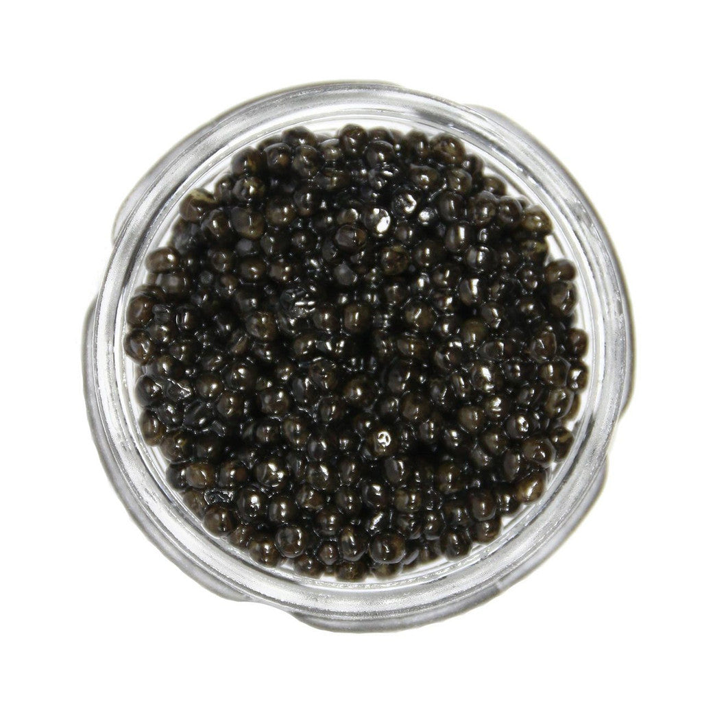 Italian White Sturgeon Caviar from Crown Caviar