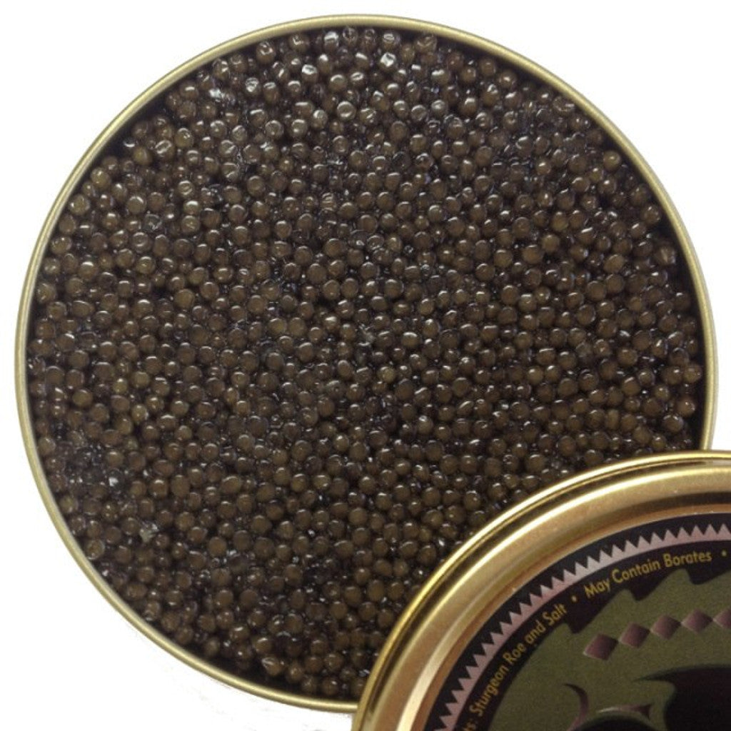 Premier Kaluga Caviar - Sturgeon native to the northern Caspian Sea