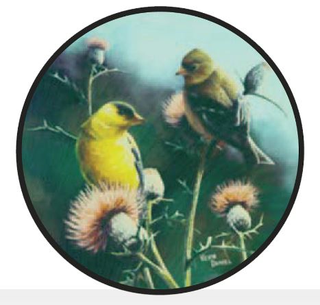 A round stained glass panel featuring artistic depictions of male and female goldfinches feeding on thistle seeds.
