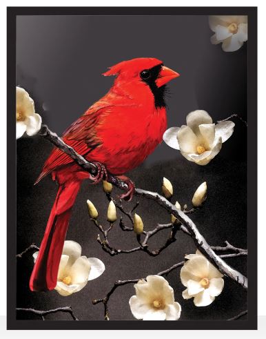 A vibrant print of a male Northern Cardinal perched on a branch with white flowers, set against a dark background.